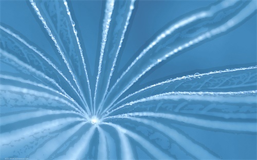 商贸企业iso认证,企业进行iso认证的目的是什么